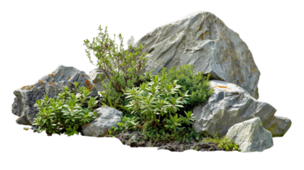 Сollection set of different styles of outdoor natural stones or rocks with plants for garden and landscaping decoration on white transparent background.
