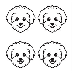 A Charming and Cheerful Bichon Frise, a Playful Toybreed with a Fluffycoat like a Powderpuff or Cottonball, a Happy and Hypoallergenic Companion