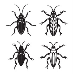 A Nocturnal and Resilient Cockroach, a Scuttling and Unwanted Household Pest Known for its Rapid Reproduction and Adaptability, a Creepy Crawly Insect from the Blattodea Order