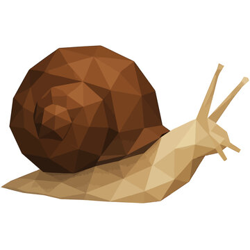 A polygonal low poly snail illustration with a brown shell and beige body.
