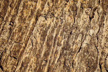 Close-up of a textured rock surface with natural cracks, earthy tones, and rugged details. The geological pattern emphasizes the raw beauty of nature, ideal as a background or texture.