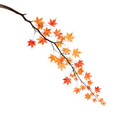 Autumnal maple leaves gracefully descending on a branch against an airy canvas presenting elegance