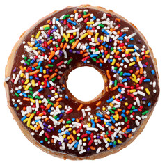 Chocolate Donut with Rainbow Sprinkles
