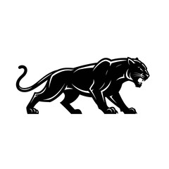 Obraz premium panther, wildcat, predator, feline, jungle, strength, stealth, animal, wildlife, beast, roar, hunt, mammal, carnivore, junglecat, danger, fearless, exotic, sleek, ferocity, nature, powerful, mysteriou