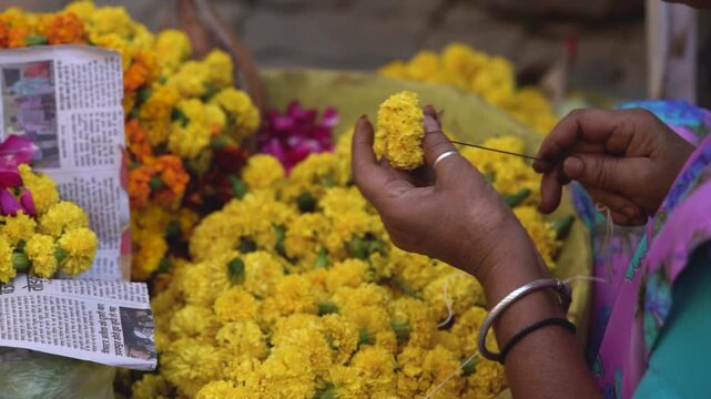 Close-up of a woman's hands stringing fresh yellow marigold flowers (genda phool) into a traditional garland for a Hindu festival like Diwali