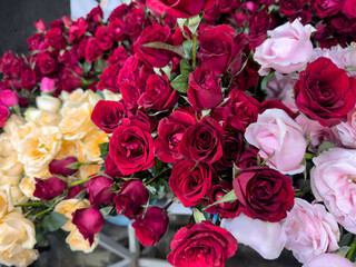 vibrant and colorful close-up shot of a variety of fresh roses in shades of deep red, light pink, and creamy yellow.