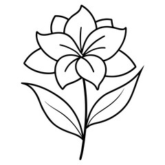 oleander white nerium