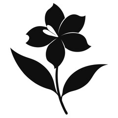 oleander white nerium silhouette vector on white