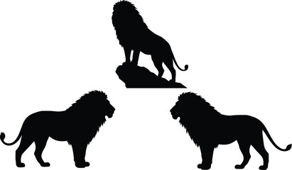 Lion Silhouette Set – Three Male Lions in Different Poses for Wildlife, Safari, and Design Projects