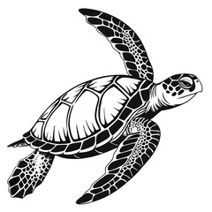 turtle vector illustration