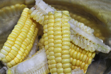 Macro Shot of Raw Corn Kernels