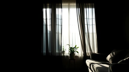 Soothing sunlight streams through sheer curtains onto a plush sofa, creating a tranquil, modern home atmosphere.