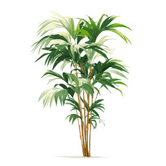 Fototapeta premium Minimal 2D flat vector of a Kentia Palm, icon-style illustration on a white background