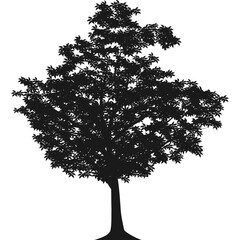 Large Tree Silhouette Illustration for Nature, Landscape, and Forest Design