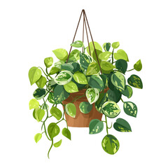 Jade Pothos, 2D flat vector illustration in icon style, isolated on a white background © Alex
