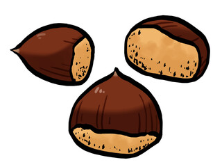 筆 栗のイラスト 秋の味覚 シンプル / Chestnut with shell, hand-painted brush style illustration, autumn food