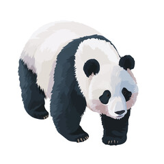 Panda, 2D flat vector illustration in icon style, isolated on a white background © Alex