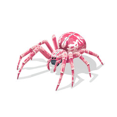 2D flat vector graphic of a Spider in icon style, isolated on white background