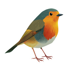 Minimal 2D flat vector of a Robin, icon-style illustration on a white background