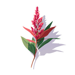 Flat 2D Anigozanthos vector illustration, icon graphic on white background