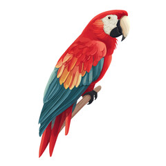 Minimal 2D flat vector of a Parrot, icon-style illustration on a white background