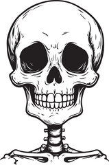 Anatomical Study: A stark illustration of a human skeleton, presented in a bold and clear line drawing, offering a direct view of the skull and upper skeletal structure.