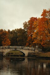 Naklejka premium autumn in the park