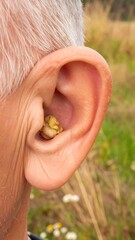 Close-up of an ear with a small, light-colored object inside.  Ear, person,  nature, detail, close-up