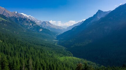 Elegant weekday wedding table setting with white plate silver cutlery and decorative leaves arrangement