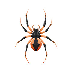 Fototapeta premium Halloween Spider, 2D flat vector illustration in icon style, isolated on a white background