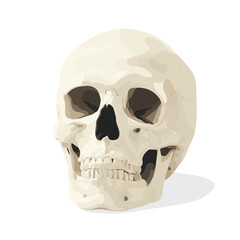 Obraz premium Flat 2D Halloween Skull vector illustration, icon graphic on white background