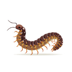 Minimal 2D flat vector of a Centipede, icon-style illustration on a white background