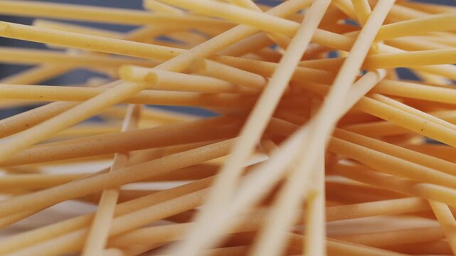 Italian pasta Bucatini or perciatelli thick spaghetti like pasta with a hole running through the center 