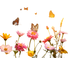 “Romantic Blooming Meadow with Butterflies and Soft Sunlight”
