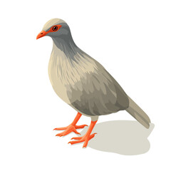 Flat 2D Kagu vector illustration, icon graphic on white background