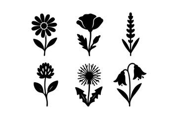 Wildflower icons in black silhouette style: daisy, poppy, lavender, clover, dandelion, and bluebell.