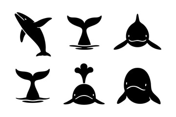 Whale icons in black silhouette style: jumping whale, whale tail, front view, blowing water, swimming whale, and whale head.