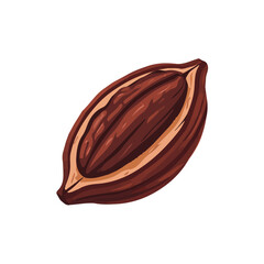 Flat 2D Cacao vector illustration, icon graphic on white background