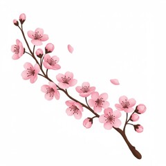 Delicate Pink Cherry Blossom Branch on White Background Isolated Design