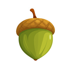 Acorn, 2D flat vector illustration in icon style, isolated on a white background