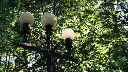 Vintage Street Lamp Among Green Tree Leaves