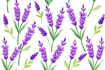 Fototapeta premium lavender flowers on white