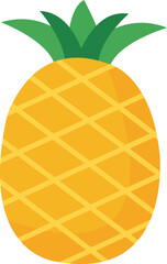 Pineapple fruit illustration isolated on white background