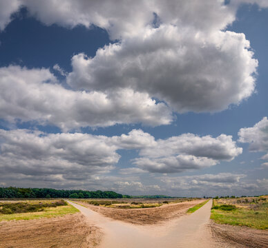 A scenic view of a path diverging under a sky filled with large fluffy clouds. The surrounding landscape consists of open fields and patches of green vegetation.