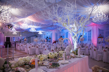 Elegant reception hall decorated for a special event with colorful lighting and white trees