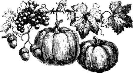 A vintage illustration of pumpkins, grapes, acorns, and leaves in black ink. The detailed botanical vector set captures a classic aesthetic.