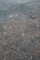 Water Pollution: Debris Floating on Polluted Water