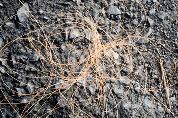 Macrophotography of tangled orange thread against an asphalt background. Sharp thread from a broken kite isolated on black asphalt. Graphic resources. Negative space.