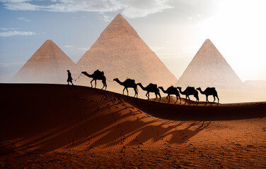 Camel caravan in front of the Great pyramid of Giza complex - Cairo, Egypt © muratart