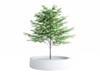 A digitally rendered green tree in a modern white planter